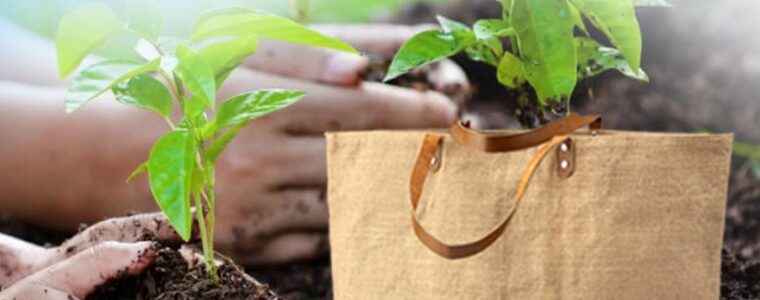 Jute Grow Bag Is A Nice Innovation For Alternative Of Plastic And Mud Tub For Growing The Various Plants 1