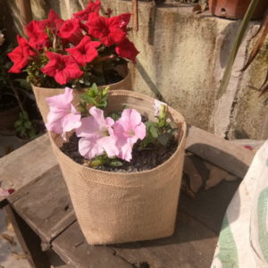 jute grow bags season flowers