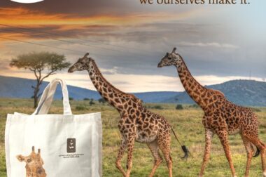 Why Cotton Bags Are The Most Eco-Friendly And Popular For Promotional Choice.